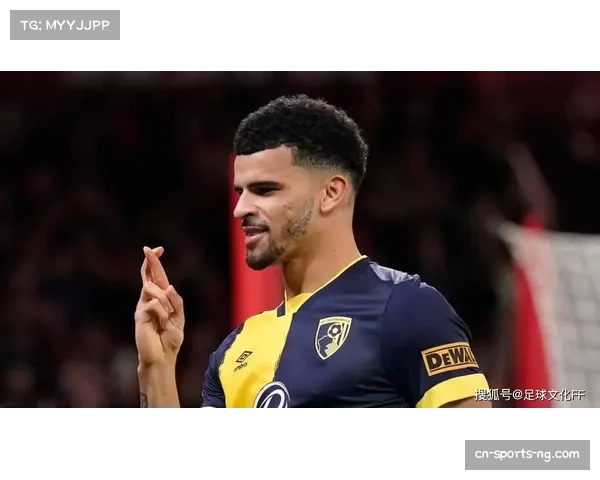 索兰克3粒进球 伯恩茅斯锋线支柱